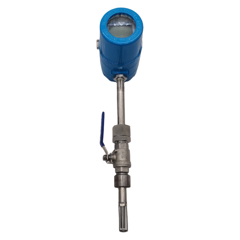 熱式氣體質量流量計